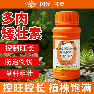 多肉矮壮素国光官方旗舰店农药抑灵控梢调节剂花卉爆芽增色防徒长