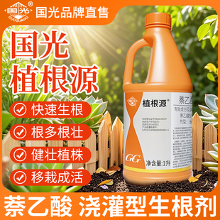 萘乙酸生根剂生根液国光植根源扦插大树移栽复壮爆发式长根发根粉