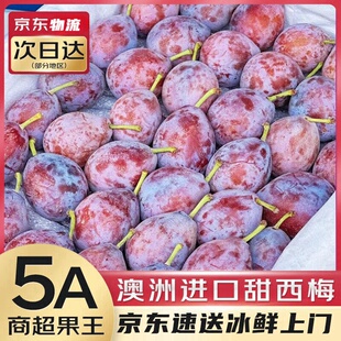 智利进口西梅 新鲜空运大西梅孕妇宝宝水果智利西梅整箱礼盒