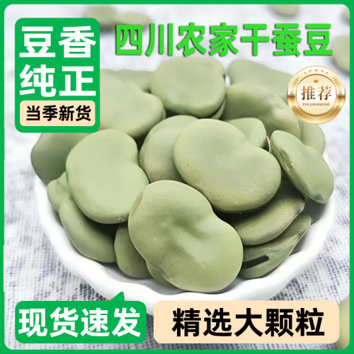正宗四川大粒干蚕豆2025新货农家新鲜老胡豆生蚕豆干 干货500g包
