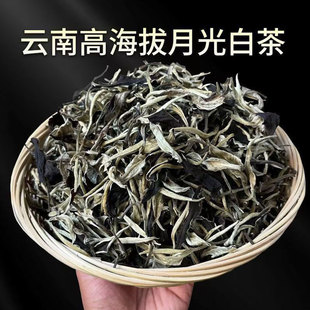云南月光白茶一芽二叶散茶花果香云南古树白茶月光美人普洱白茶