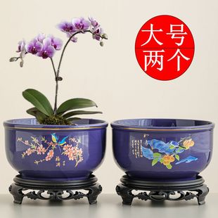 花盆陶瓷大号中国风蝴蝶兰兰花专用家用简约带底座客厅卧室绿植盆