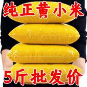 批发5斤 敖汉黄小米今年新米优质农家小黄米小米粥正宗小米