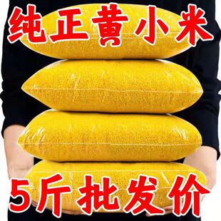 【批发5斤】敖汉黄小米今年新米优质农家小黄米小米粥正宗小米