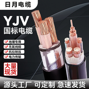 日月 铜芯铠装阻燃电缆 ZR-YJV22-0.6/1KV 4*50+1*25mm² / 米