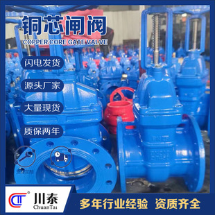 铜芯闸阀法兰自来水开关水管阀门不锈钢碳钢铜杆硬密封法兰川泰