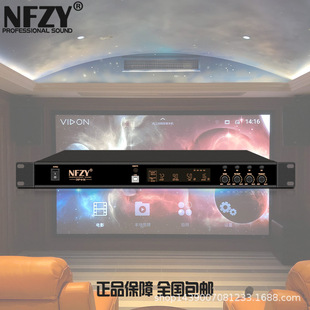 NFZY DSP6100 数字KTV前级效果器 防啸叫 卡拉OK 混响处理器