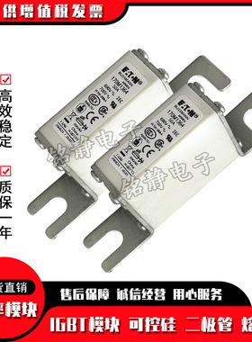 170M1363 170M1364 170M1365 170M1366巴斯曼熔断器现货170M1367