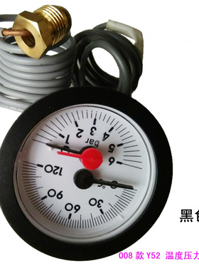 供应内径52mm0-6bar壁挂炉用双显温度压力表wy5206001