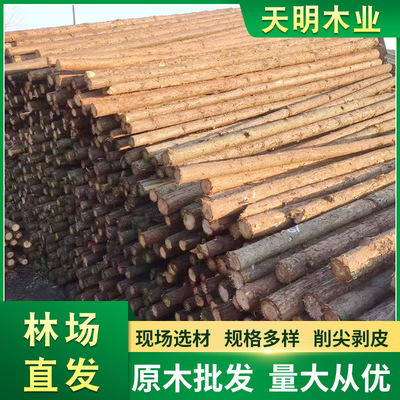 防汛木桩工地河道打桩木河堤防洪防汛木桩土建工程绿化支撑松木桩