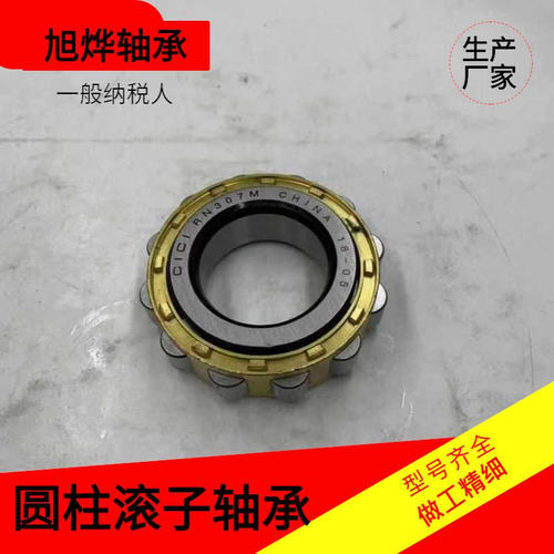 摆线减速机配套轴承 偏心套圆柱滚子轴承 RN307M 502307H厂家现货