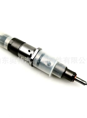 共轨喷油器总成  0445120130 配WD10发动机喷油器