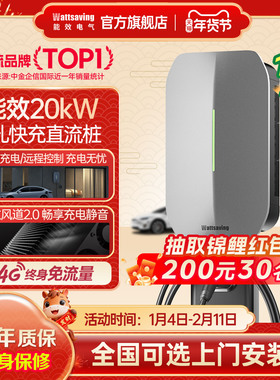 能效充电桩380V9孔U20直流充电桩20kW新能源家用快充适用蔚来极氪