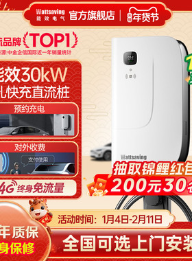 能效380v三相直流充电桩30kw家用新能源汽电车问界快充桩9孔