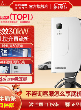 能效380v直流快充充电桩9孔30kW红旗eqm5新能源汽车商用共享HQ30