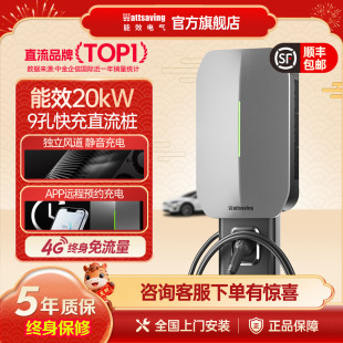 能效直流充电桩20kW家用蔚来极氪新能源电车380v九孔快充桩U20