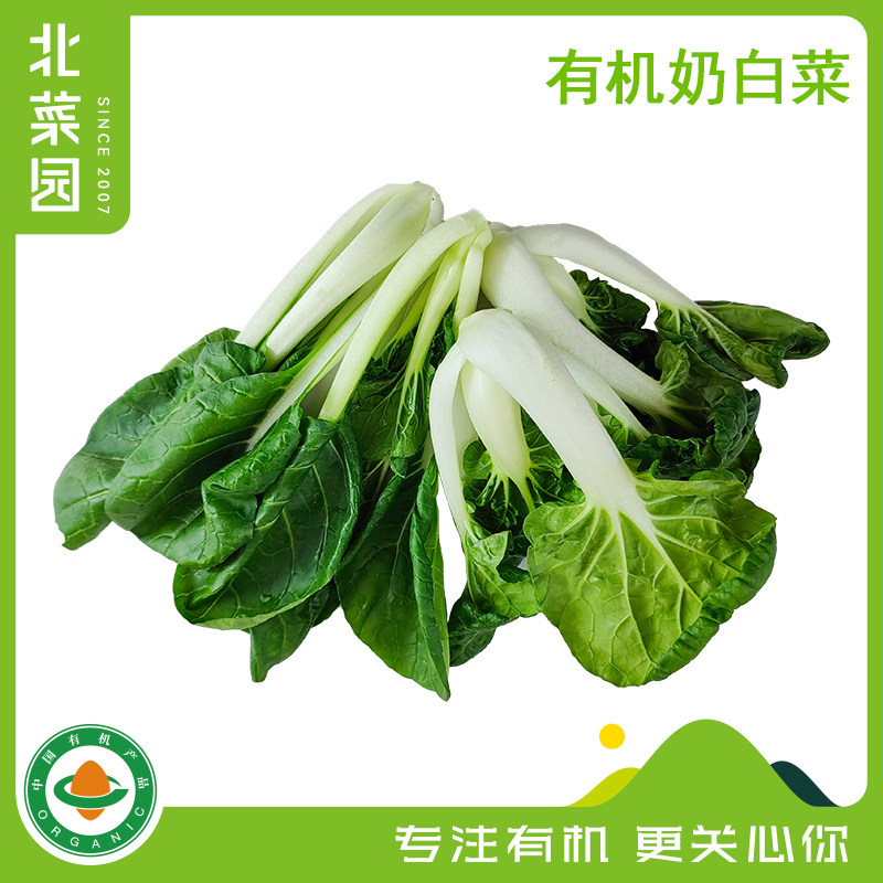 北菜园有机新鲜奶白菜250g火锅涮菜炒菜食材 农家种植 有机蔬菜,水产肉类/新鲜蔬果/熟食,叶菜类,淘宝优惠券,粉丝福利购,淘宝优惠卷