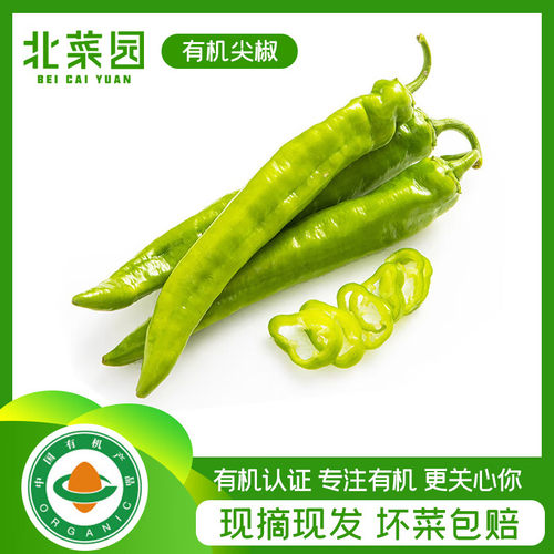 北菜园有机尖椒 青椒辣椒新鲜有机蔬菜250g/份 微辣清甜坏果包赔