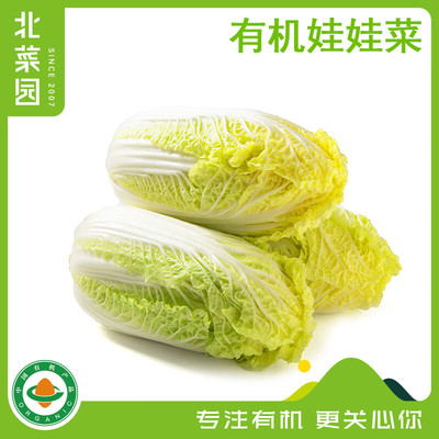 北菜园有机娃娃菜400g 有机新鲜蔬菜 火锅涮菜 炒菜 清脆小白菜