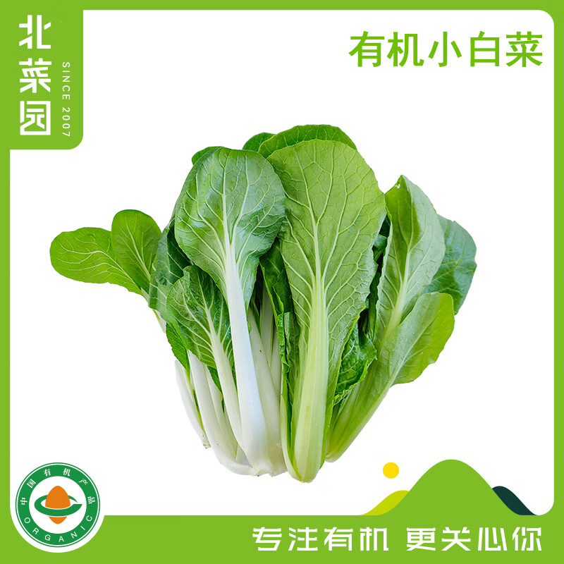 北菜园有机白梗小白菜 新鲜蔬菜农家小叶菜青菜火锅涮菜 现摘现发