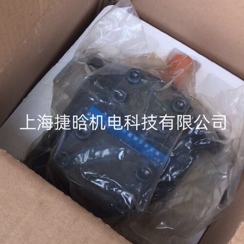 TZYY 榆次液压 叶片式油泵 YB-B48B-DU-FL-50 YB-B92B-DU-FL-50