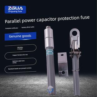 智广电力电容器专用高压熔断器喷射式熔断器BR2-10/50P-24A-100A