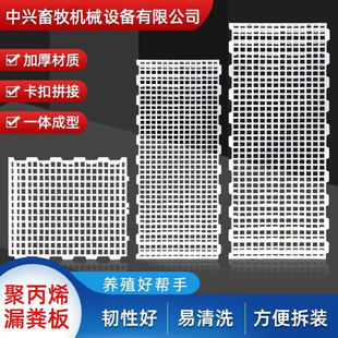 种鸡用塑料漏粪板 养鸡用塑料垫板 新款大孔种鸡厂用塑料垫板