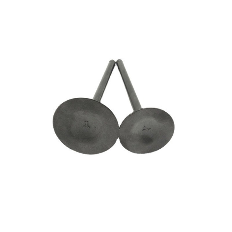 隆鑫发动机配件 隆鑫水冷CB250发动机气门组件 排气门 进气门