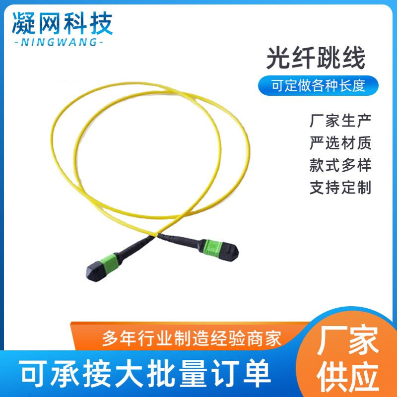 MPO（母头）-MPO（母头）12芯3米单模万兆 MTP光纤跳线