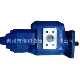 02010齿轮泵 Pg3100 W42064000山工 工作泵