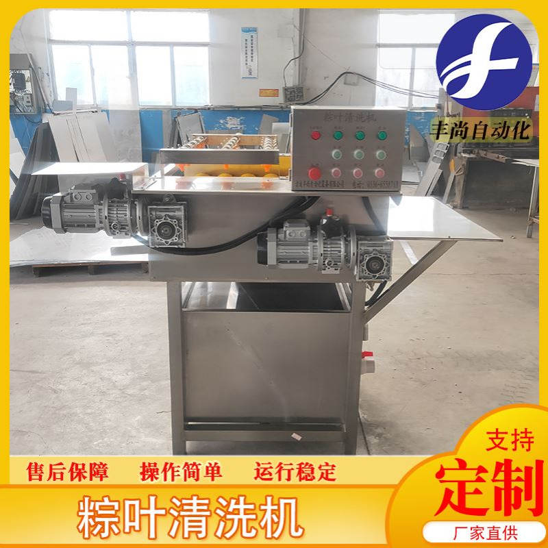 丰尚自动粽叶清洗机 循环使用水粽叶清洗机 毛刷式芦苇叶清洗设备