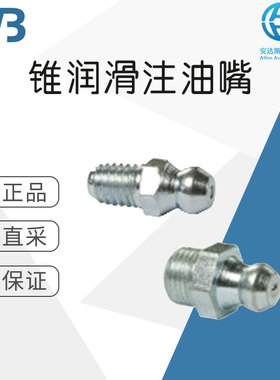 工厂直采 德国 WTB锥润滑注油嘴 DIN 71412 A (H1/180°)  多型号