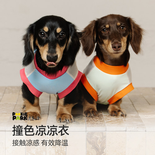 狗狗夏日撞色防晒凉凉衣速干背心