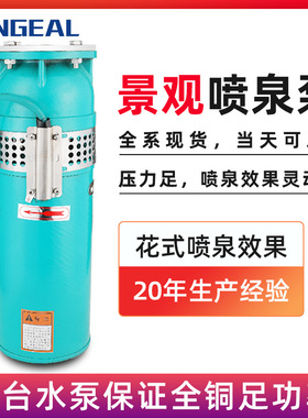花园假山池塘专用造景泵 QSPF不锈钢卧倒式水泵 园林用喷泉潜水泵