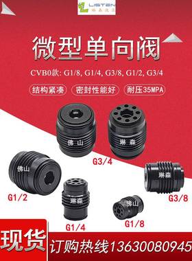 液压内置单向微型阀插装埋入cvb0g1/4旋入式阀芯高压意大利vis