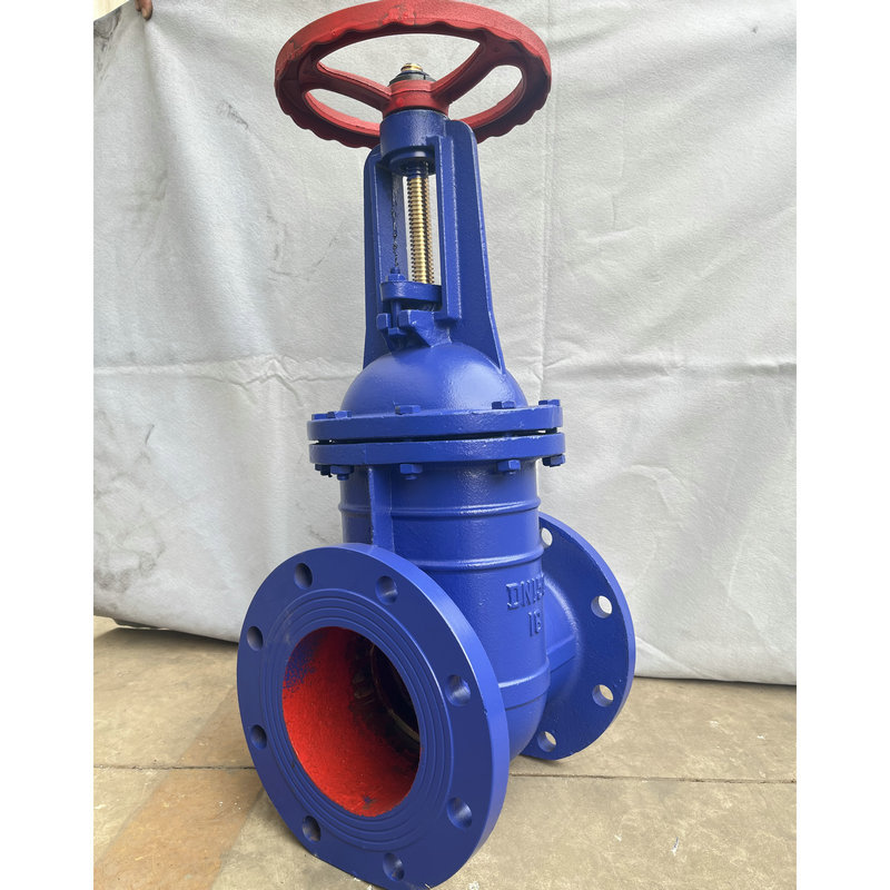 法兰明杆闸阀大体铜杆铜芯闸阀DN150防护FZ41T-16法兰手动闸阀