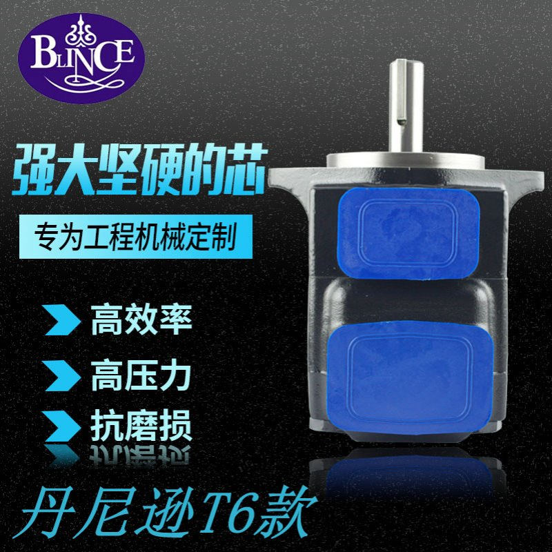 T6C-3/5/6/8/10/12/14/17/20/22/25/28/31-1R丹尼逊KST款液压油泵