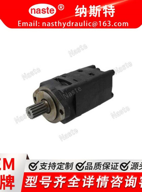 305943  液压马达