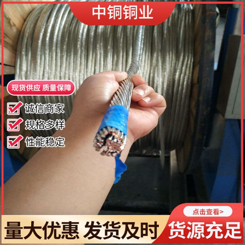 裸绞线 铜绞线TJ-150平方) 镀锡铜绞线TJ-120mm2纯铜接地线185