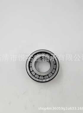 SL185010 SL185011 SL185012 SL185013 装满圆柱滚子轴承