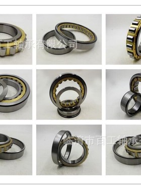 BGBG满滚子轴承SL04 NNF 5012 501 3 4 5 PP ADA-2LS圆柱滚子轴承