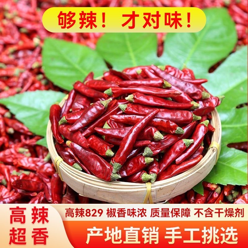 香辣干辣椒特辣微辣中辣