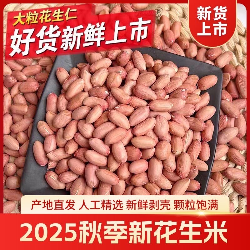 【新客直降】2025年新白沙花生米精品白沙5斤农家优质花生豆榨油
