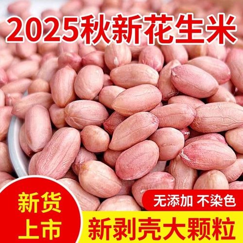 25年当季新货花生米新鲜特级花生米精选大颗粒特大晒干新货米批发