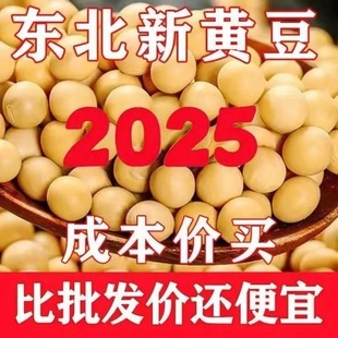 2025年新黄豆非转基因大豆发豆芽打豆浆东北新鲜黄豆腐便宜高蛋白