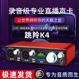Buckhorn跳羚k4声卡USB外置声卡手机电脑网红主播录音直播K歌通用
