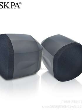 WR310  时尚音箱壁挂迷你吊装音箱公共广播背景音乐带分频器