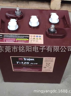 进口邱健蓄电池T-105T-125T-145T-875T-1275 6V240AH升降车L16P