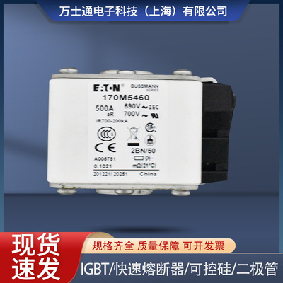 熔断器170M5458 170M5459 170M5460 170M5461 170M5462 170M5463
