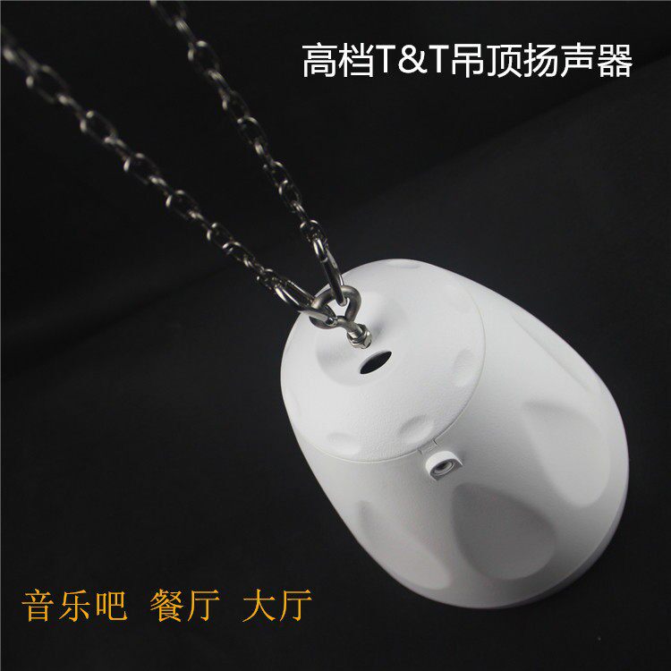 T&T原装5寸6.5寸吊式音箱天花吊顶喇叭定压定阻两用商用16欧姆